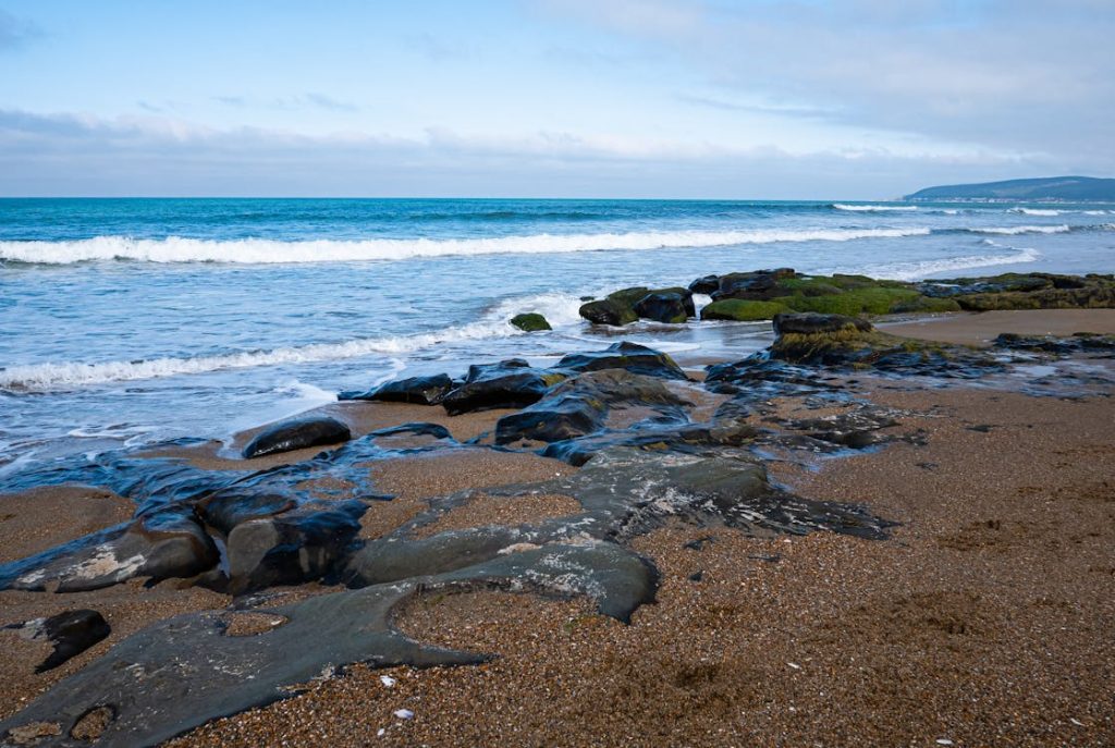 oil spills on the beach